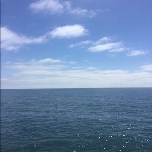 Meet your Posher, Bella